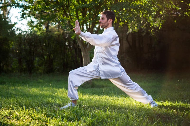 Tai Chi for Health Image